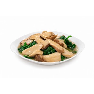 V36 皇子菇豆苗 