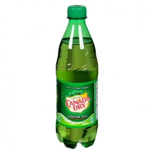 Ginger Ale (Bottle)