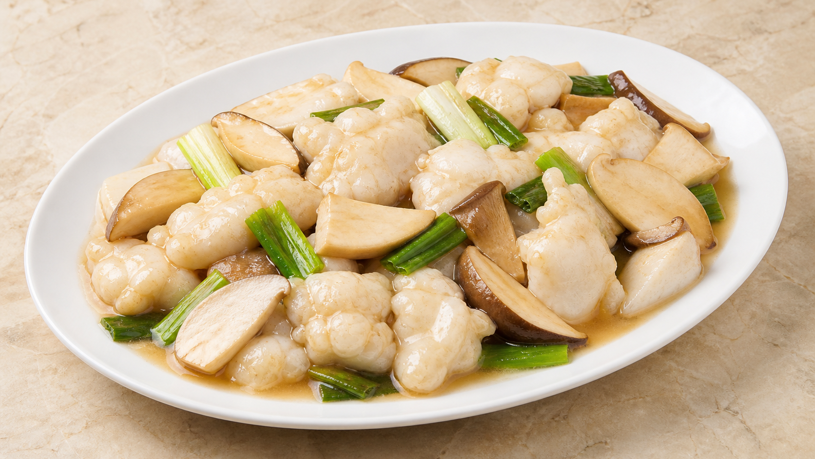 Y2 王子菇龍躉斑球