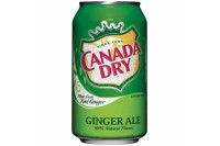 P03 Ginger Ale