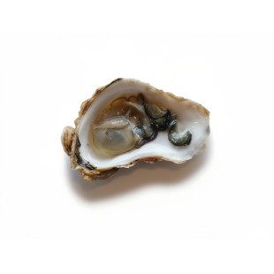 A30. Oysters (12pcs)