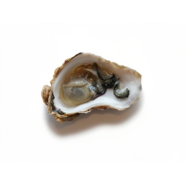 A30. Oysters (6pcs)