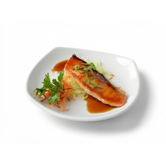 B2. Salmon Teriyaki