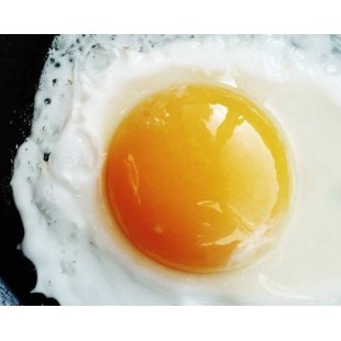 E02. Fried Egg (煎蛋)