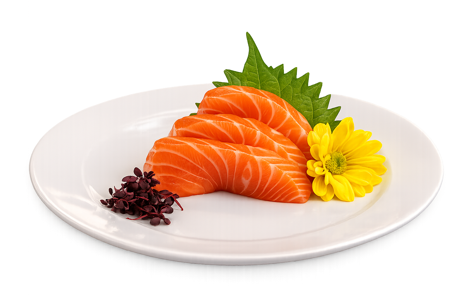 About Sano Sushi