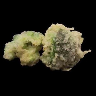 Broccoli Tempura (5pcs)
