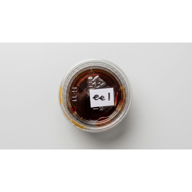 Eel Sauce